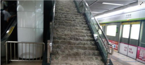 武昌火车站暴雨被淹事件官方回应分析