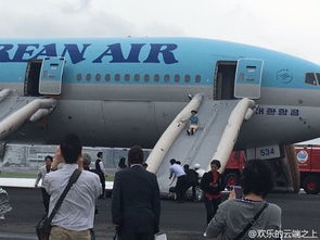 以炸毁胡塞客机前 乘客纷纷逃离