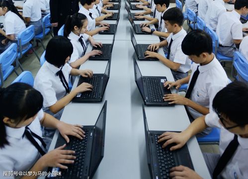 电子商务专业能考博士吗