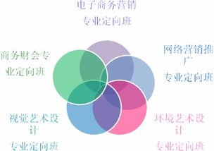 市场营销转电子商务专业