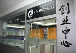 E-BOSS高级电子商务专业
