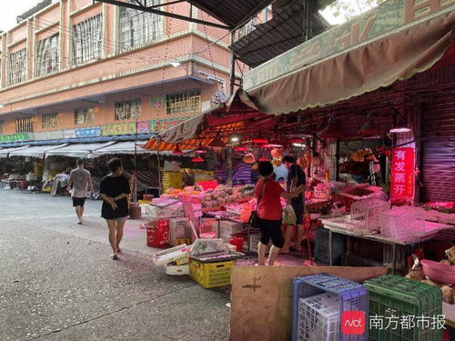 普陀区专业电子商务方案