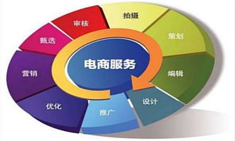单招电子商务专业多少分
