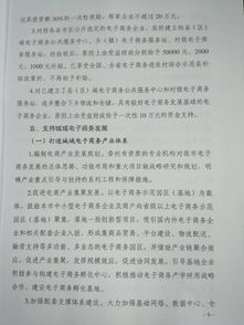 电子商务专业的意见建议