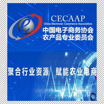 中国电子商务是啥专业