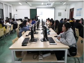 电子商务专业大学期间