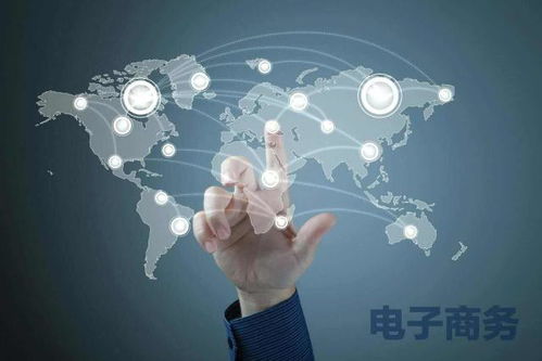 电子商务专业大一考试