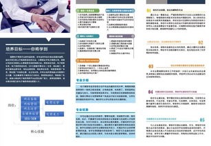 电子商务所需具备的专业能力