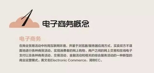 国际电子商务的专业知识