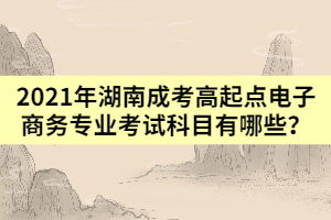 成考电子商务专业课程