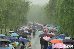 榕江雨势惊人，三天降下46个西湖，市民感叹雨有多大