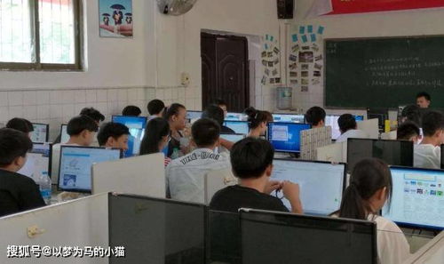 电子商务专业女的多不多